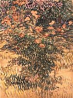 Oleanders, the Hospital Garden at Saint-Remy, 1889, vangogh
