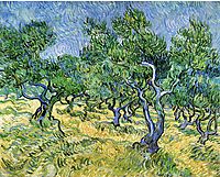 Olive Grove, 1889, vangogh