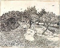 Olive Trees, 1888, vangogh