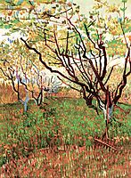 Orchard in Blossom, 1888, vangogh