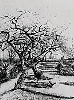 Parsonage Garden, 1884, vangogh