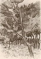 Pine Trees in the Garden of the Asylum, 1889, vangogh