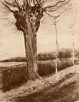 Pollard Willow , 1881, vangogh