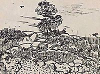 Rocks with Oak Tree, 1888, vangogh