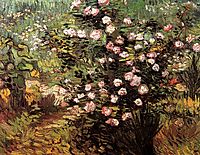 Rosebush in Blossom, 1889, vangogh