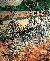 Thistles, 1888, vangogh