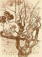 Treetop Seen against the Wall of the Asylum, 1889, vangogh