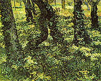 Trunks of Trees with Ivy , 1889, vangogh