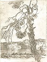 A Weather-Beaten Pine Tree, 1889, vangogh