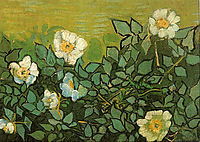 Wild Roses , 1890, vangogh