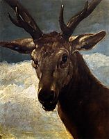 A deer-s head, 1626-27, velazquez