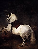 A white horse, 1634-35, velazquez