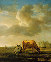 Cows on a Meadow, 1658, veldeadriaen