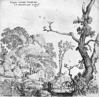 Landscape, veldeesaias