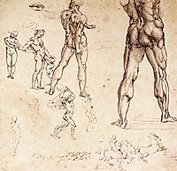 Anatomical studies, c.1505, vinci