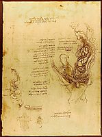 Coition of a Hemisected Man and Woman, c.1492, vinci