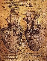 Drawing of the Heart and its Blood Vessels, from the Anatomical Notebooks, vinci
