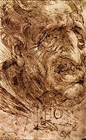 Head of an Old Man, c.1488, vinci