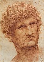 Head of a Man, 1503-1505, vinci