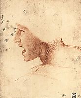 Head of a Warrior, 1504-1505, vinci