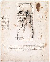 Male head in profile with proportions, 1490, vinci