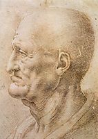 Profile of an old man, c.1505, vinci