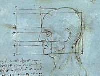 The proportions of the head, c.1490, vinci