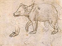 Studies of a BeWalking, c.1484, vinci