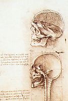 Studies of human skull, 1489, vinci