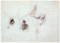 Studies of Leda and a horse, 1503-1507, vinci