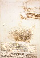 Studies of water, c.1510, vinci