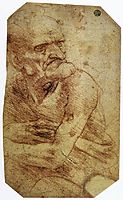Study of an Old Man, vinci