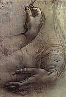 Study of Arms and Hands, a sketch by da Vinci popularly considered to be a preliminary study for the painting -Lady with an Ermine-, vinci