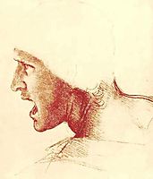 Study of a Figure for the Battle of Anghiari, vinci