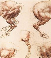 Study of horses, 1504-1506, vinci