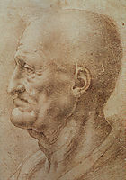 Study of an Old Man-s Profile, vinci