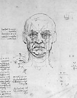 Study on the proportions of head and eyes, vinci