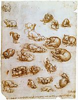 Study sheet with cats, dragon and other animals, 1513-1515, vinci