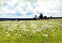 Field of Daisies, volkov