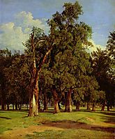 Old elms in Prater , 1831, waldmuller