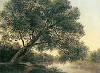 Tree by the brook, c.1831, waldmuller