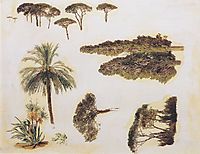 Tree studies from Rome , 1846, waldmuller