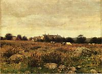 Houses in Pasture, c.1890, weir
