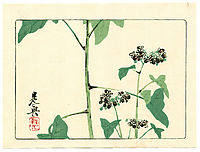 Flowering Plant - Hana Kurabe, 1878, zeshin