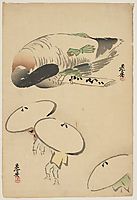 Pheasant/Three men with umbrellas, zeshin