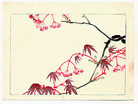 Red Maple - Hana Kurabe, 1878, zeshin