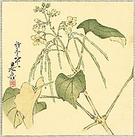 Summer Flower, 1888, zeshin