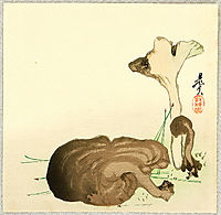 Wild Mushrooms, 1880, zeshin