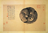 Cat (Sketches from Life), zhoushen