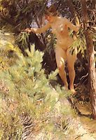 Nude under a fir, 1892, zorn